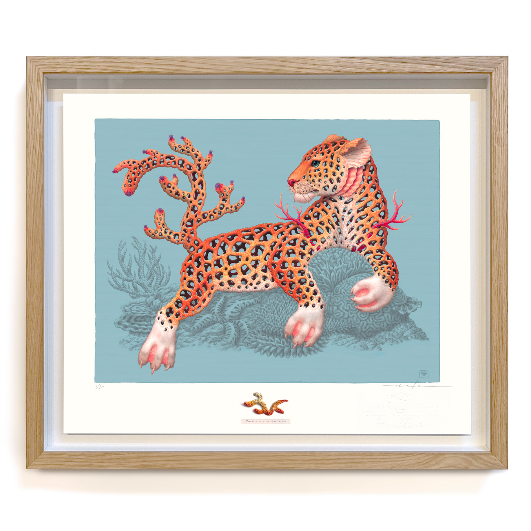 Raoul Deleo » Coralleopardus Perforatus (framed)