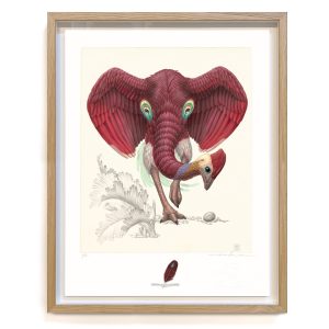 Dromopteryx elephoenicus (framed/large)