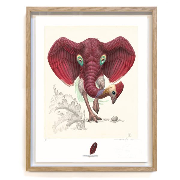 Dromopteryx elephoenicus (framed/large)
