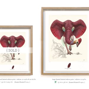 Dromopteryx elephoenicus (framed/large) - Image 4