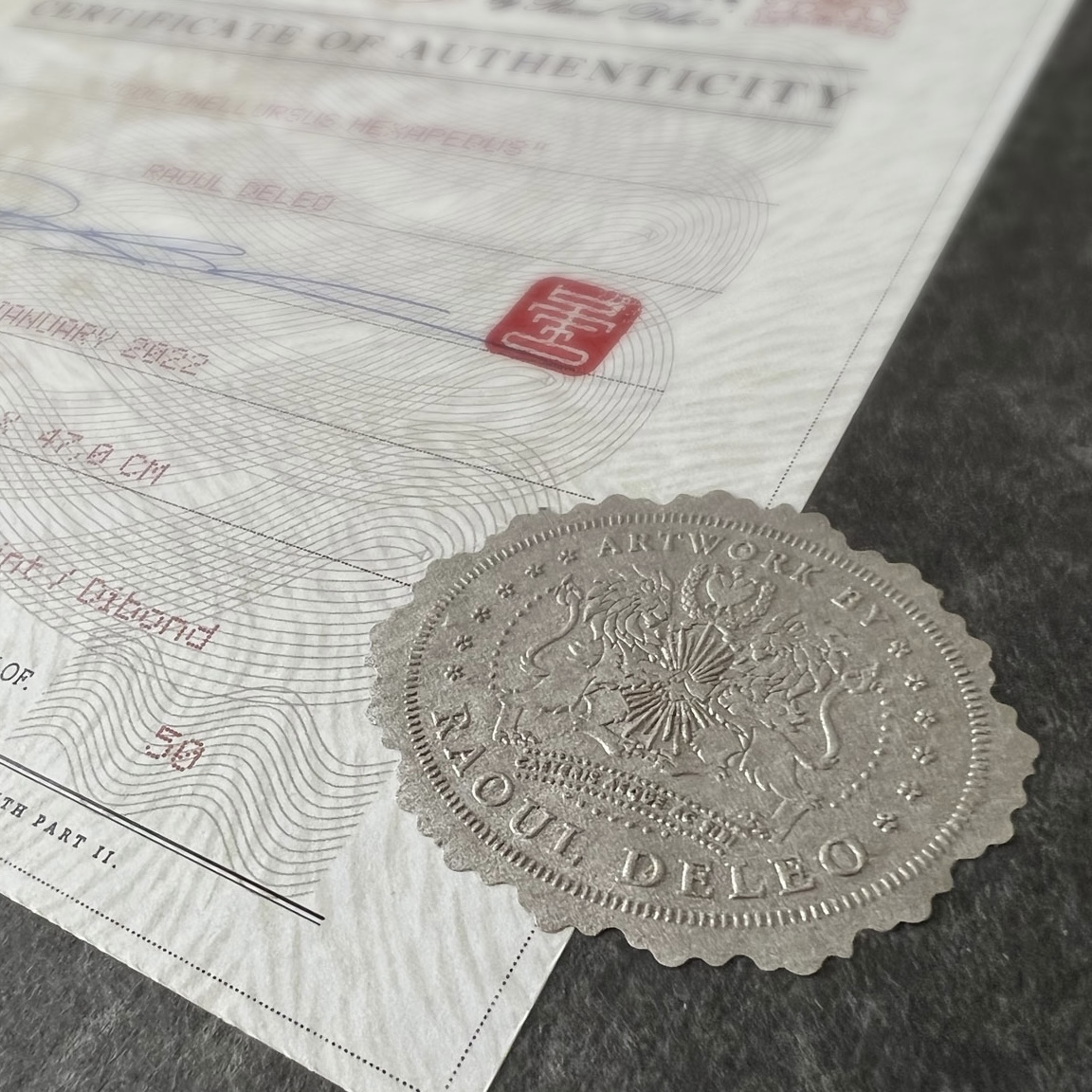 Aëroparus longipennis (framed) - Image 7