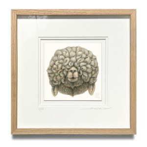 Happy 2026 / THOUSAND