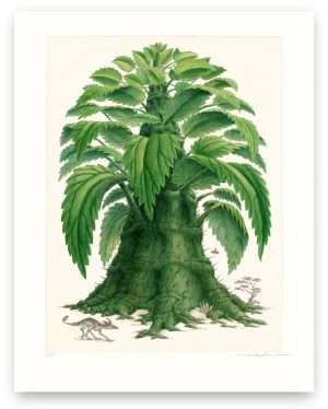 Urticodendron irritans