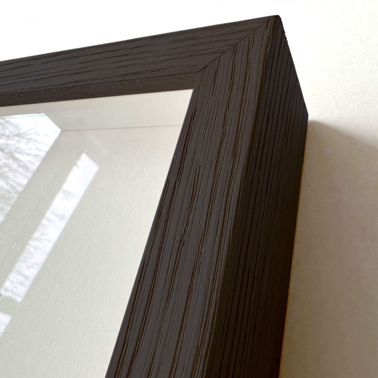 Peripatus mellirostratus (framed black/large) - Image 5